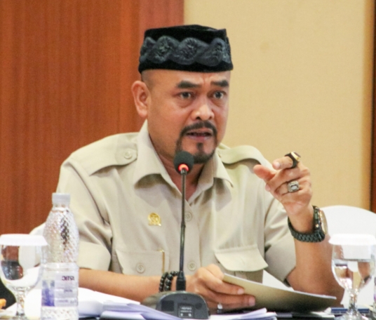 Anggota Komisi A DPRD Kota Depok sekaligus Ketua Fraksi Gerindra DPRD Kota Depok, Edi Masturo.